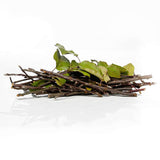 Apple Tree Branches w Leaves 200g